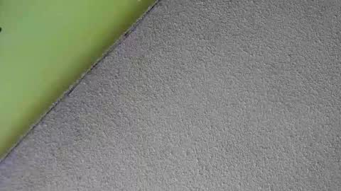 Snapshot of sussan_nasty chatting on 16, 12, 2025 sussan_nasty online show from 16, 12, 2025