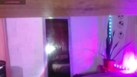susy online show from 29, 4, 2026