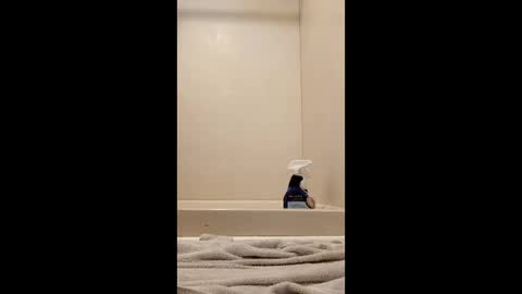 Snapshot of suthernswagga chatting on 7, 2, 2026 suthernswagga online show from 7, 2, 2026