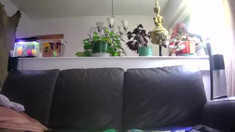 Otto online show from 16, 1, 2026