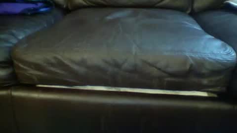 Otto online show from 3, 3, 2026