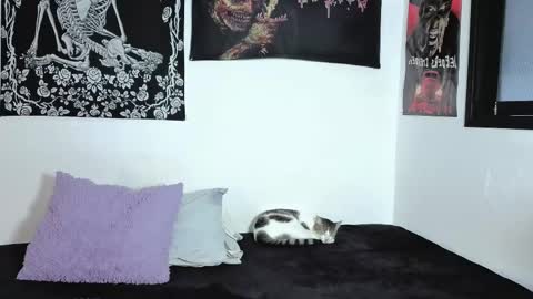 Natasha  independent modelo online show from 6, 4, 2026