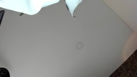 Vanessa online show from 5, 4, 2026