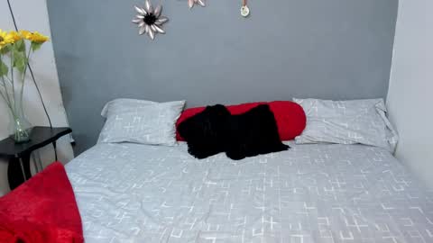 Sweet Amanda95 online show from 3, 12, 2024
