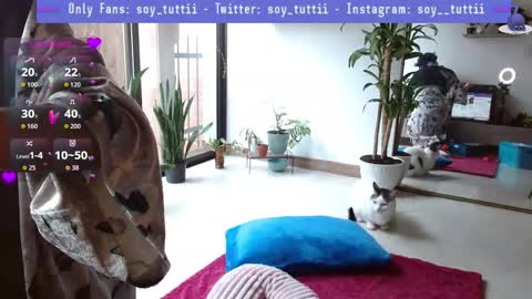 Tutti  online show from 12, 1, 2026