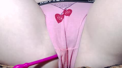 Kitten online show from 5, 3, 2025