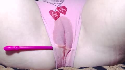 Kitten online show from 3, 12, 2025