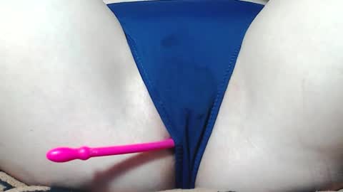 Kitten online show from 1, 4, 2026