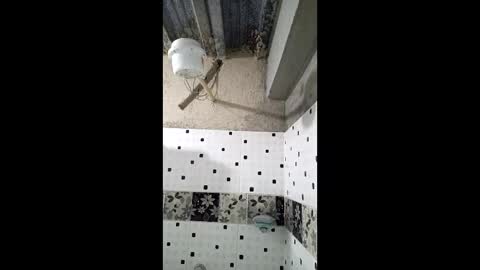 Nhaomy online show from 19, 12, 2025