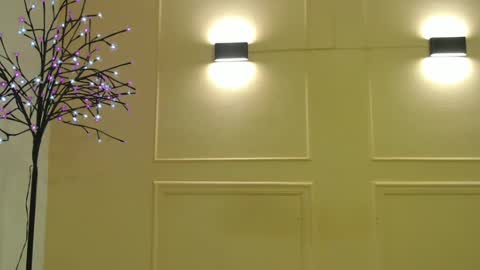 My name is Catalina. Please say hello I like to chat with you. If you have requests please use tip online show from 11, 3, 2025