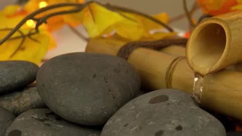 Sandra online show from 26, 10, 2025