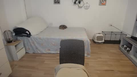 angel 3 online show from 5, 12, 2024