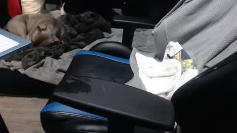 sweetgesus online show from 6, 11, 2025