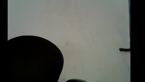LILY BRANDY online show from 31, 5, 2026