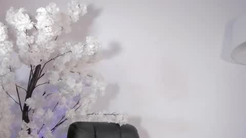 Snapshot of sweetsalice__ chatting on 14, 12, 2025 Alice Woolridge online show from 14, 12, 2025