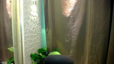 Snapshot of sweetspecial_jessyxx chatting on 14, 4, 2026 sweetspecial_jessyxx online show from 14, 4, 2026