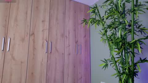    online show from 23, 1, 2025