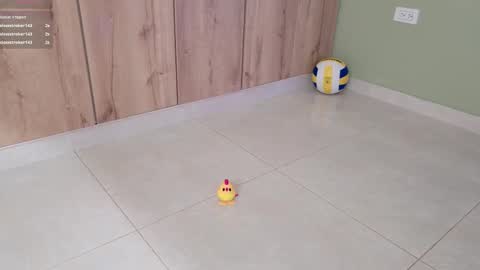    online show from 11, 2, 2025