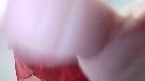 sweetwendi15 online show from 8, 2, 2025