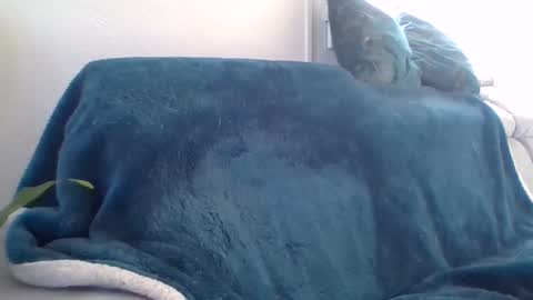 Snapshot of swissride chatting on 27, 2, 2025 swissride online show from 27, 2, 2025