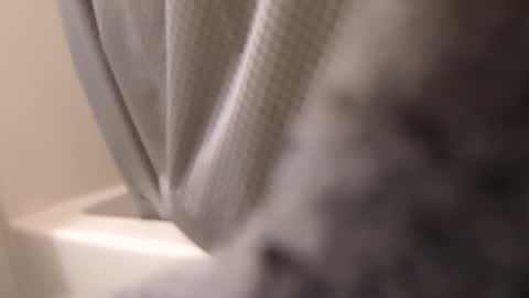 swollpole2112 online show from 14, 9, 2025