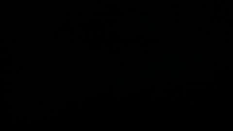 Snapshot of synop_sis chatting on 18, 11, 2025 Mila online show from 18, 11, 2025