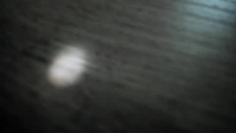 Snapshot of synop_sis chatting on 30, 11, 2025 Mila online show from 30, 11, 2025