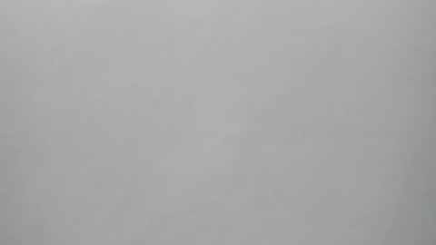 Snapshot of synop_sis chatting on 1, 12, 2025 Mila online show from 1, 12, 2025