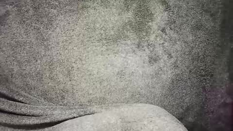 Snapshot of t0ny_cawk chatting on 22, 12, 2024 t0ny_cawk online show from 22, 12, 2024