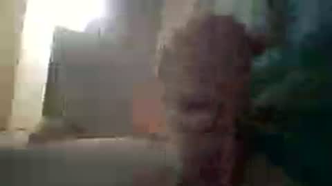 Snapshot of ta_84 chatting on 4, 7, 2026 ta_84 online show from 4, 7, 2026