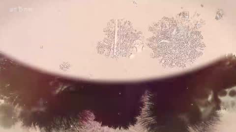 Snapshot of taanni_bc chatting on 22, 2, 2026 TAANNI online show from 22, 2, 2026