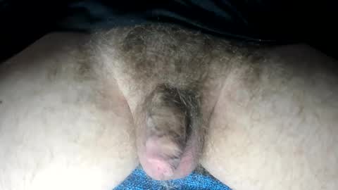 Snapshot of tacosize chatting on 13, 2, 2025 mr taco online show from 13, 2, 2025