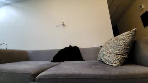 Tala online show from 25, 2, 2025