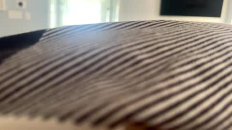 talk2me818 online show from 2, 1, 2025