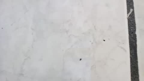 tall6feet7inch online show from 14, 9, 2025