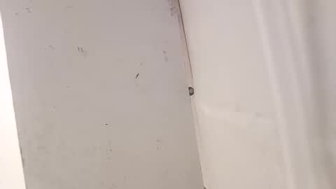 tall6feet7inch online show from 18, 12, 2025