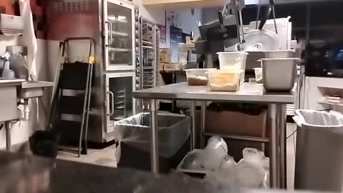 The Man of Steel online show from 10, 9, 2025