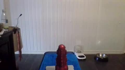 tallman_007 online show from 21, 11, 2025