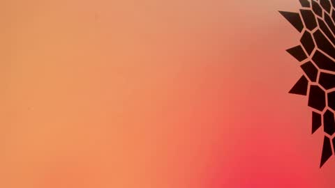 Tamara. online show from 25, 2, 2025