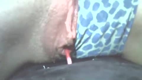 Snapshot of tamesbury chatting on 2, 11, 2025 tamesbury online show from 2, 11, 2025