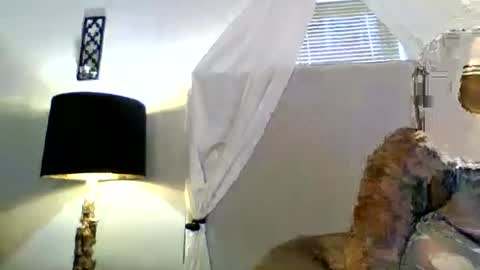 Tammygold online show from 23, 6, 2026