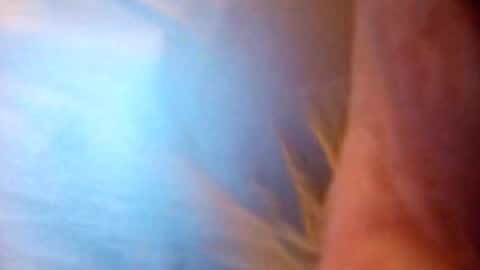 tan49476 online show from 28, 9, 2025