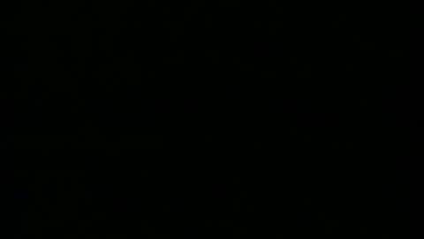 taneyone online show from 5, 12, 2024