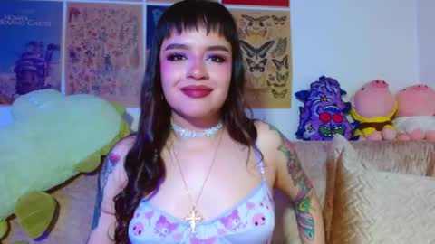    online show from 8, 5, 2026