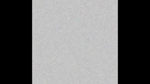 Snapshot of tasteflavored_femboy chatting on 24, 2, 2025 Taste online show from 24, 2, 2025