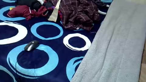 Snapshot of tastie_t chatting on 1, 11, 2025 tastie_t online show from 1, 11, 2025