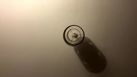 tastytexas24 online show from 4, 4, 2026