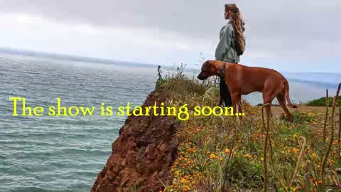 Snapshot of tatum__kahlo chatting on 19, 12, 2025 TATUM ALL MY LINKS online show from 19, 12, 2025