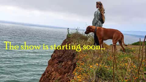 TATUM  ALL MY LINKS  online show from 28, 2, 2026