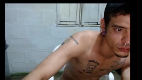 tayler punk online show from 2, 12, 2024